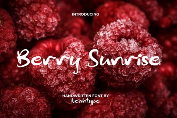 Berry Sunrise Font for Small Business Branding
