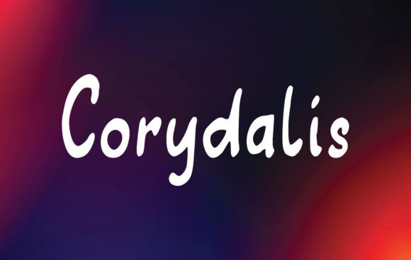 Corydalis: A Handwritten Font for Editorial Calm