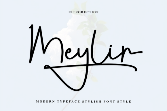 Meylin Font: Elevating Web Design with Handwritten Charm