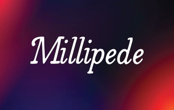 Millipede Font: Elevate Your Brand Identity